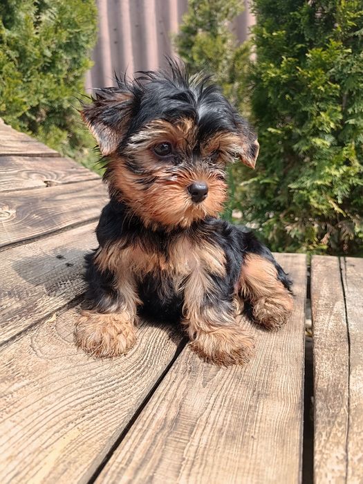 Кто в поиске прекрасного ?