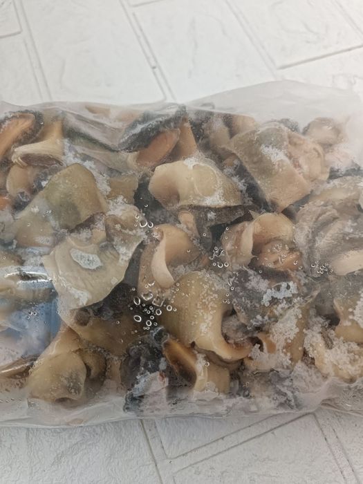 Рапан свеже-мороженный