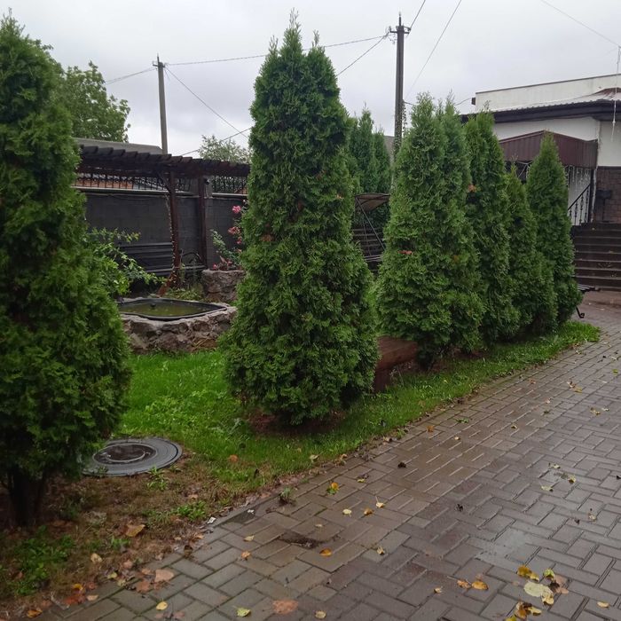 оренда приміщення вільного призначення на свій розсуд.