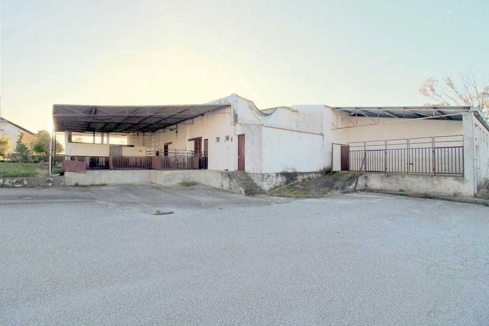 MATADOURO DE OVINOS CAPRINOS E SUINOS HA VENDA