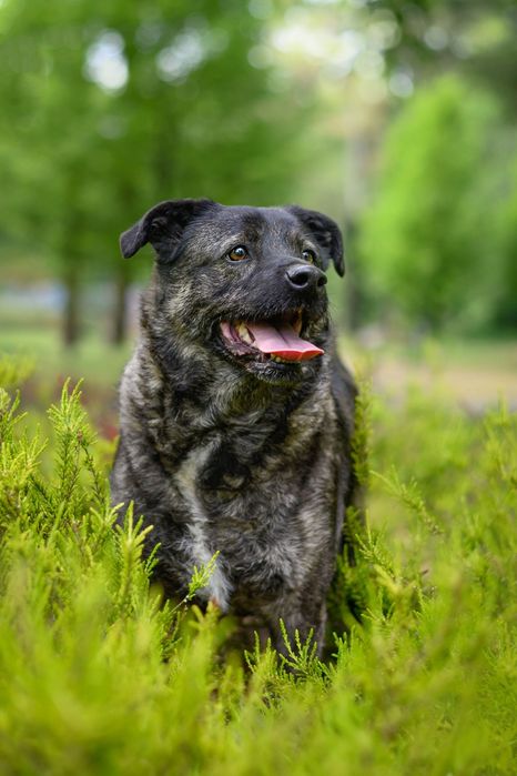 Kobi proś o miłości i dom