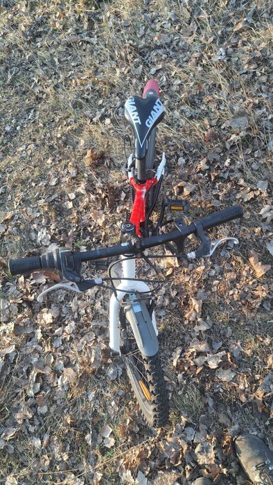 Sprzedam rower 20" Giant