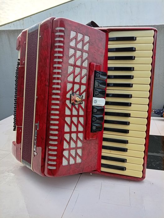 Acordeão Parrot 96 baixos