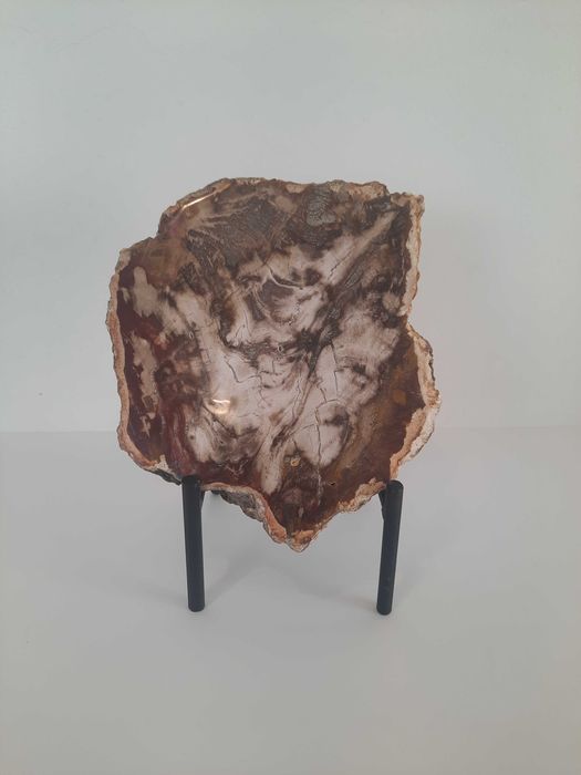 Peça decorativa de madeira petrificada.