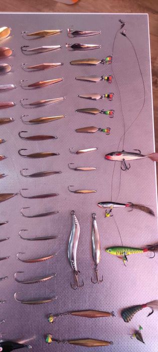 Барансири, блешні Зимові