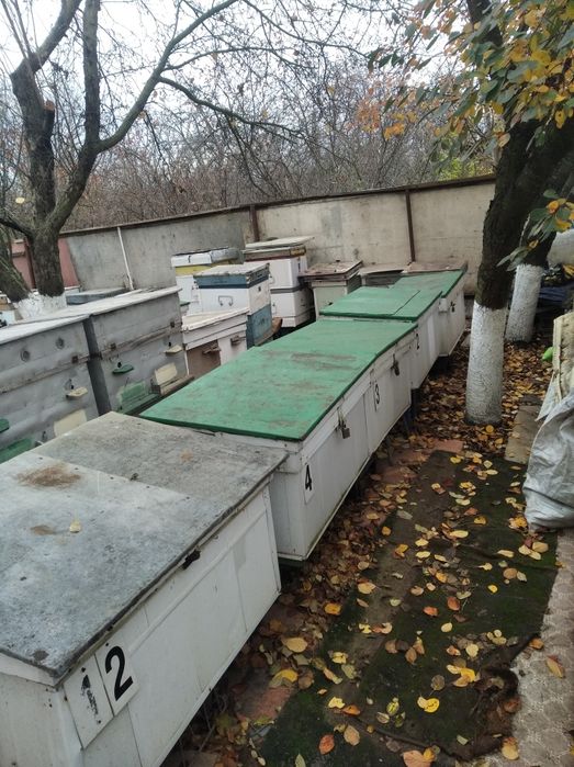 Продам павельйон и улики все для пасики бу