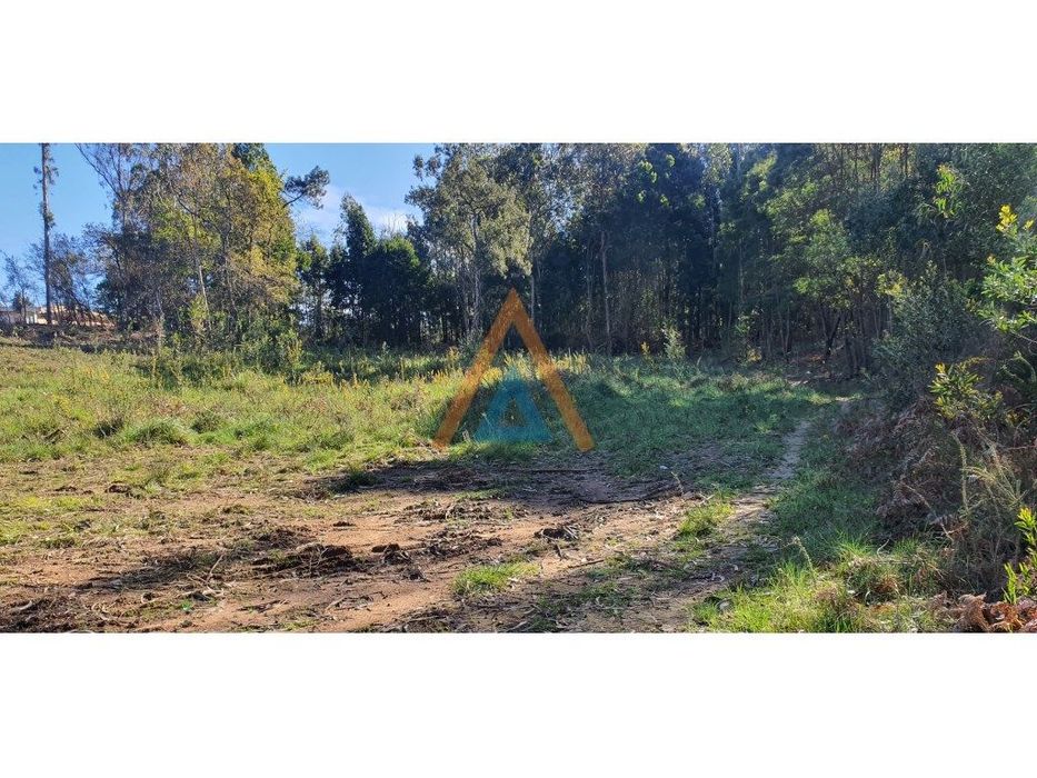 Otima Oportunidade Não Acha ?