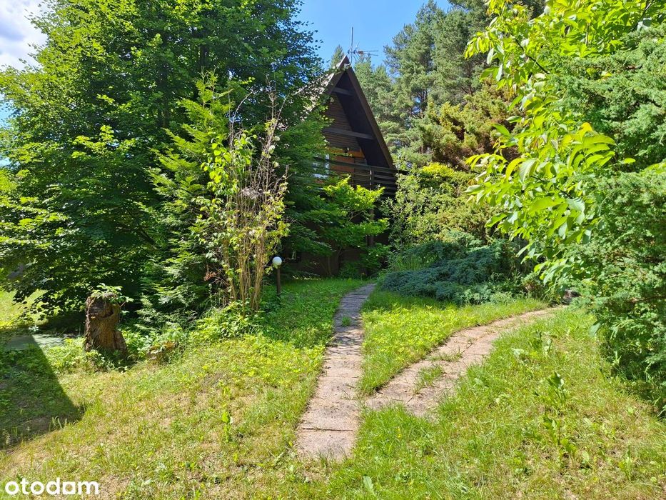 Domek letniskowy z sauną nad jeziorem, 1100m² ogrodzonego terenu.