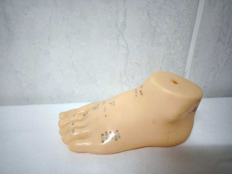 MTC - figura microssistema do pé