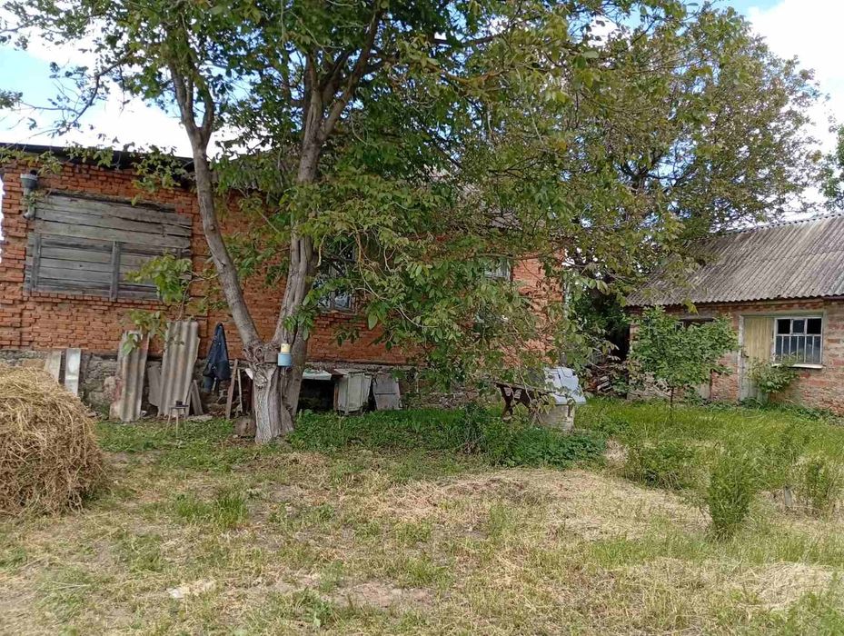 Продаж.Будинок та земельна ділянка.Браїлів.