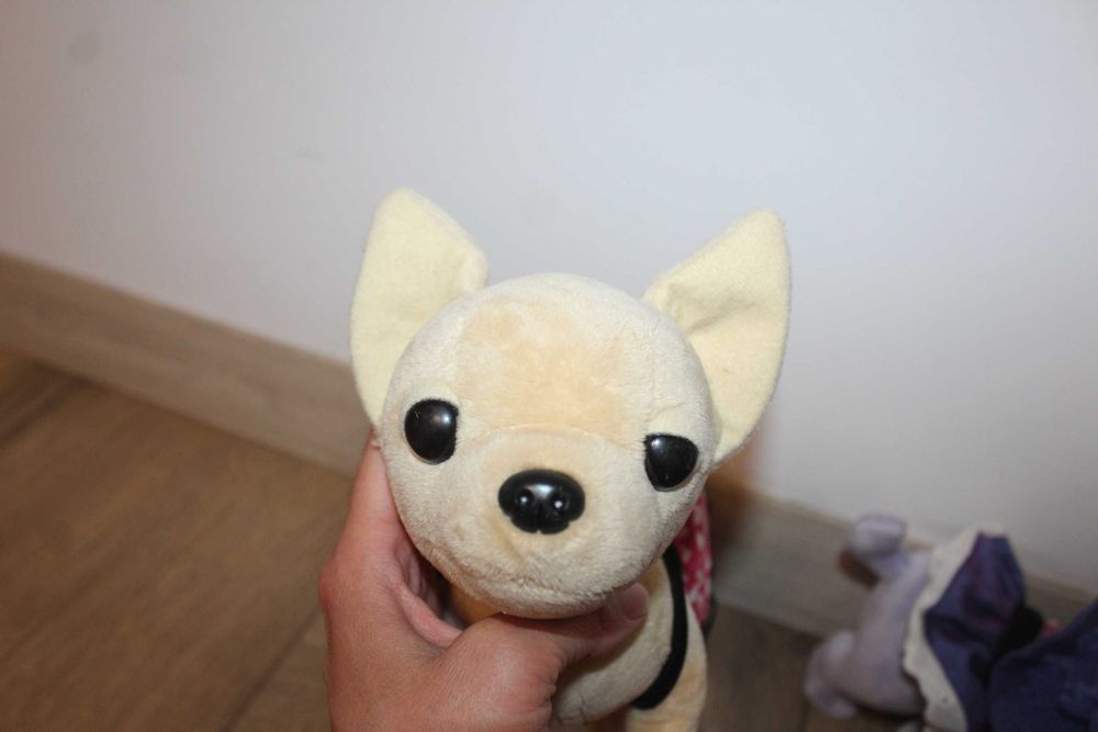 Чічілав чичилав оригінал Сімба Chi chi love Simba Chichilove