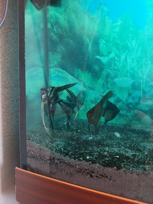 Sprzedam akwarium 140 litrów