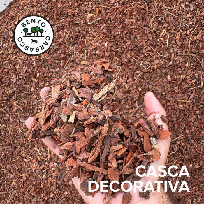 Casca de Pinho Decorativa