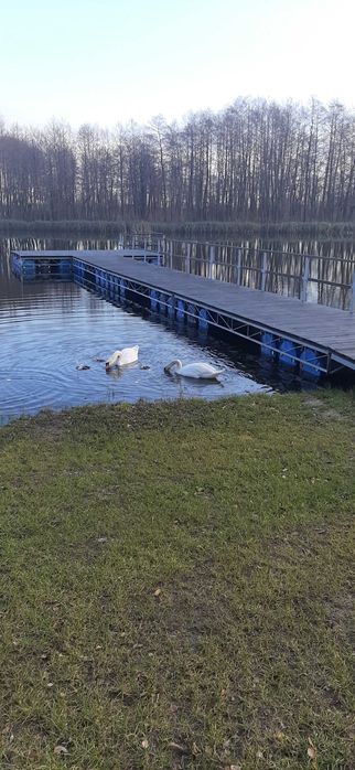 CZTERY STAWY agroturystyka wędkowanie, wakacje-domek/ noclegi