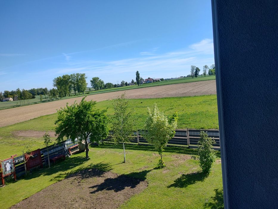 Działka budowlana Osiek Wielki Koło - Widok 2