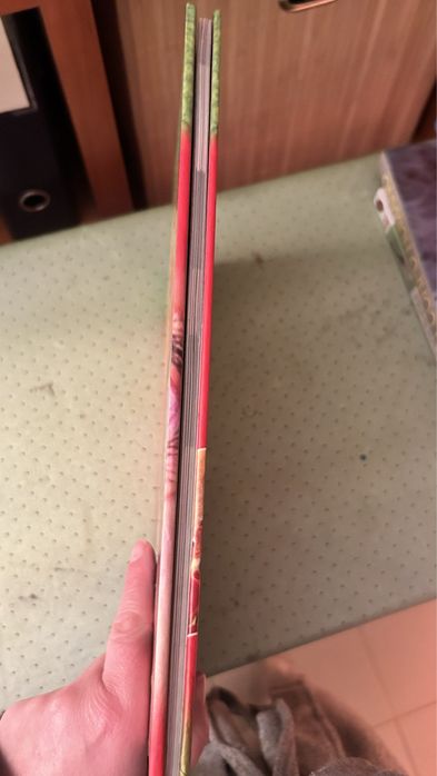 Dokeo Animais 9/12 anos