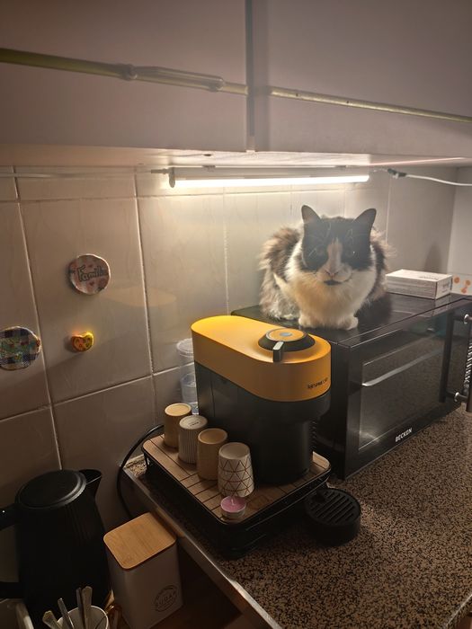 Vendo máquina de café nespresso
