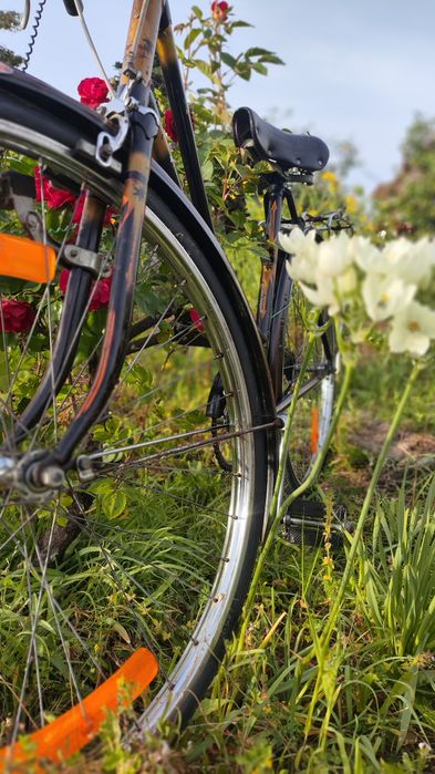 Bicicleta Ye Ye Senhora
