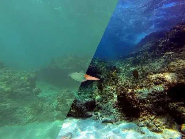 Фильтр красный подводный для аквабокса GoPro 3+/4, для дайвинга