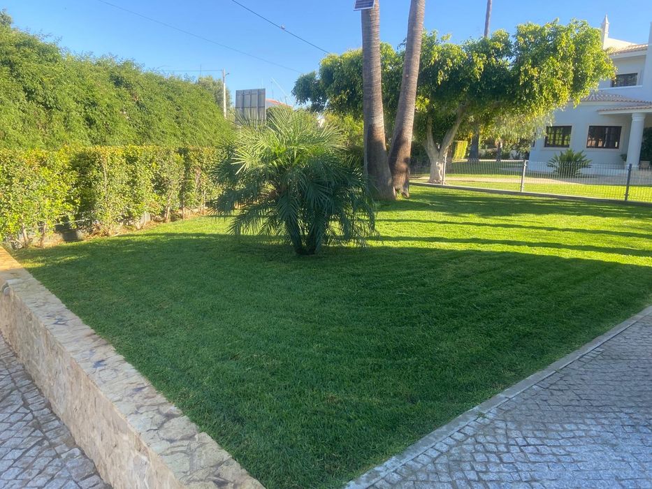 Serviços de jardinagem