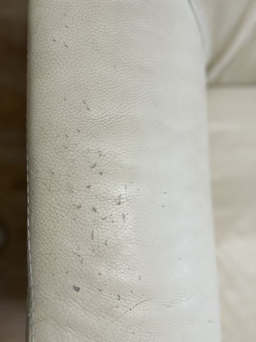 Sofá de Pele 2 lugares