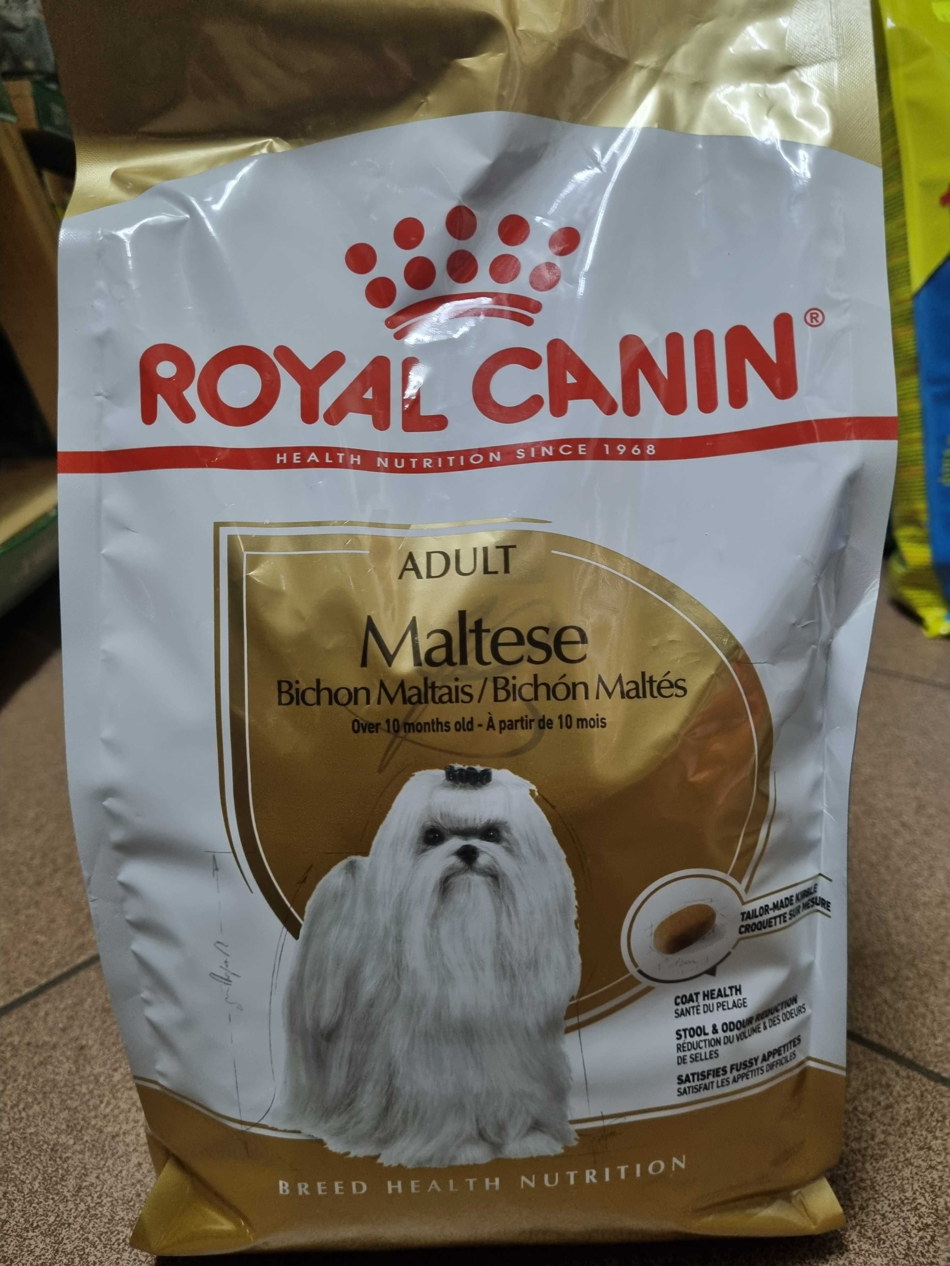 Karma royal hotsell canin maltese