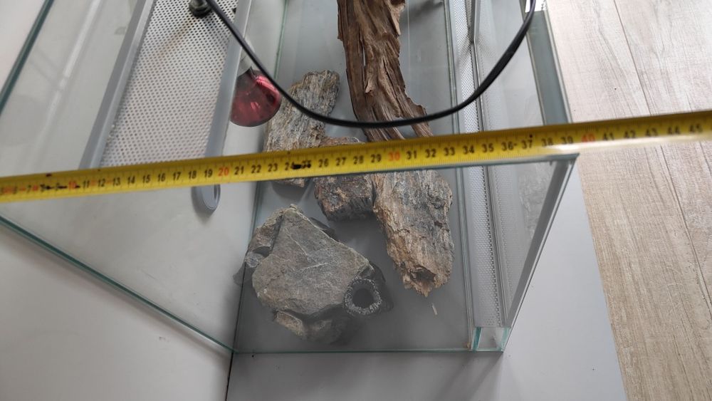 Terrarium 40x50x100
