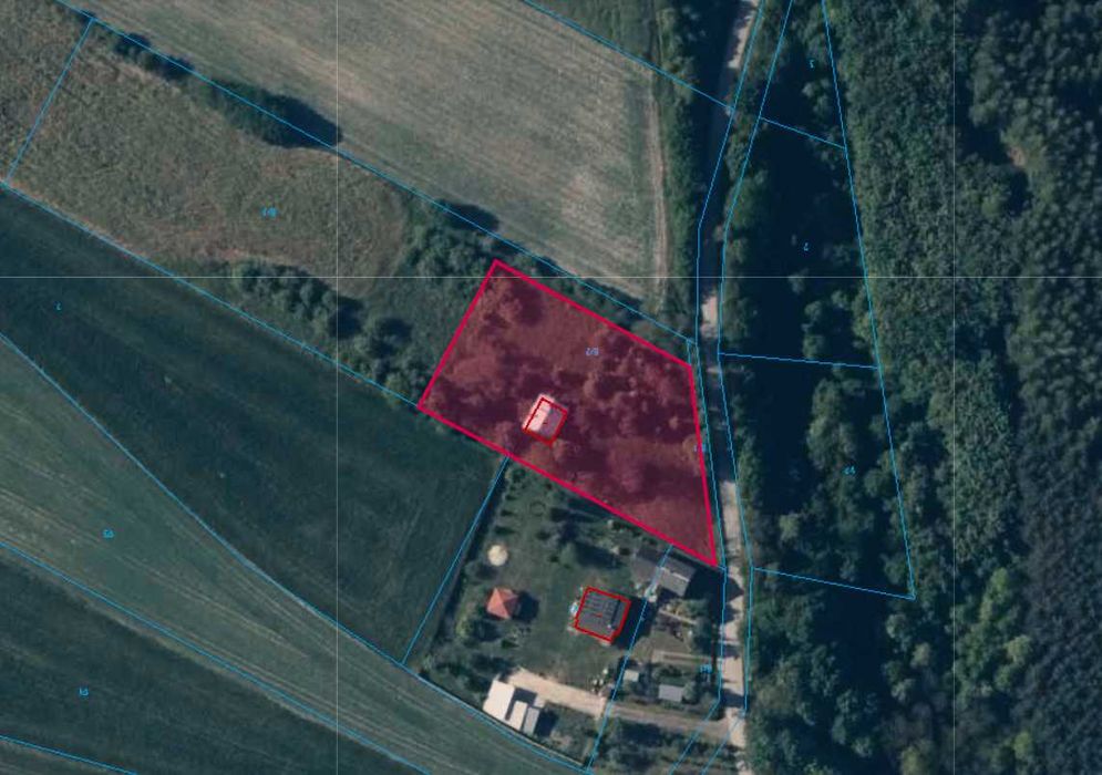 Atrakcyjna działka 22 ar, budynek mieszkalny (do remontu), przy lesie - Widok 2