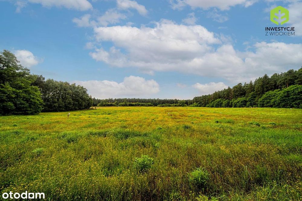 Ostatnie działki w tej cenie - 55 min od Warszawy