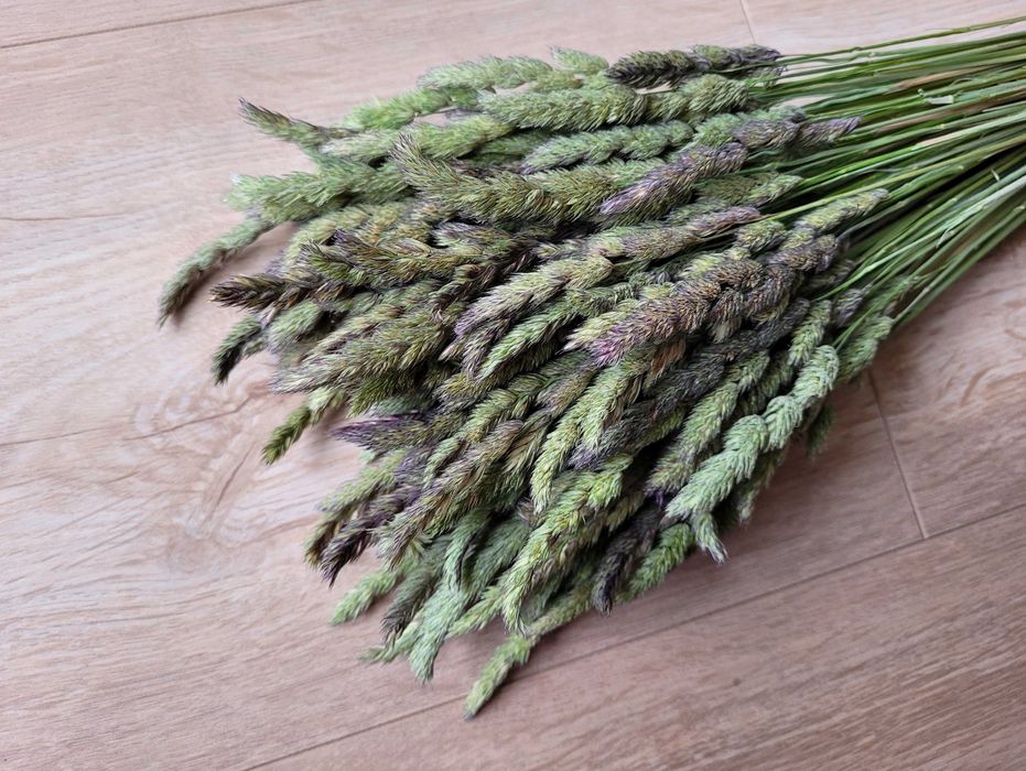 Muszle (winniczek) dekorowane, suszone kwiaty na wianki