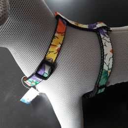 Peitorais variados para cão