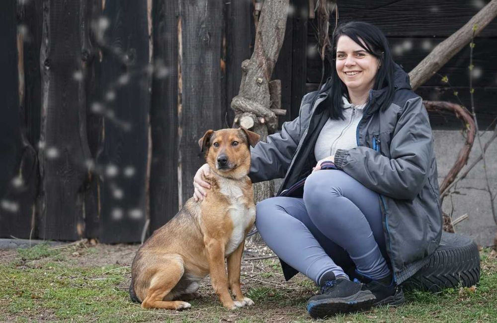 MATI - uroczy psiak prosi o dom