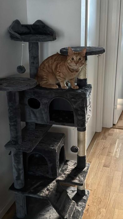 Drapak dla Kota Wielopoziomowy, Stabilny i Komfortowy Ciemnoszary NOWY