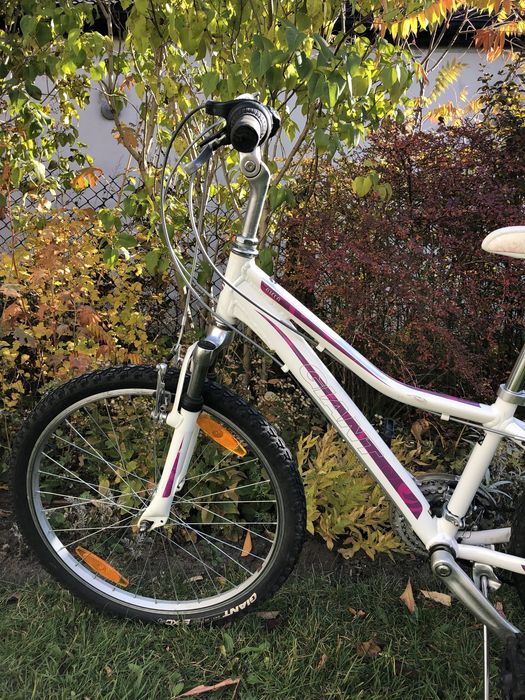 Rower Giant Areva 24