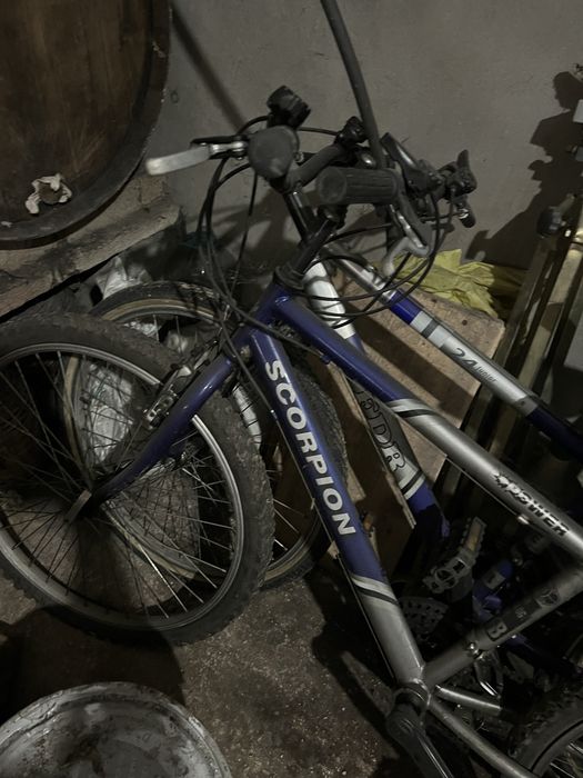Duas Bicicletas pelo preço de uma
