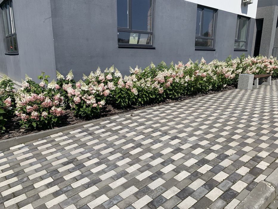 Встигни першими: студія 21 м² біля парку Буча