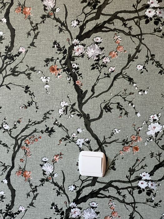 =Colocação Papel Parede - Oferta Cola=