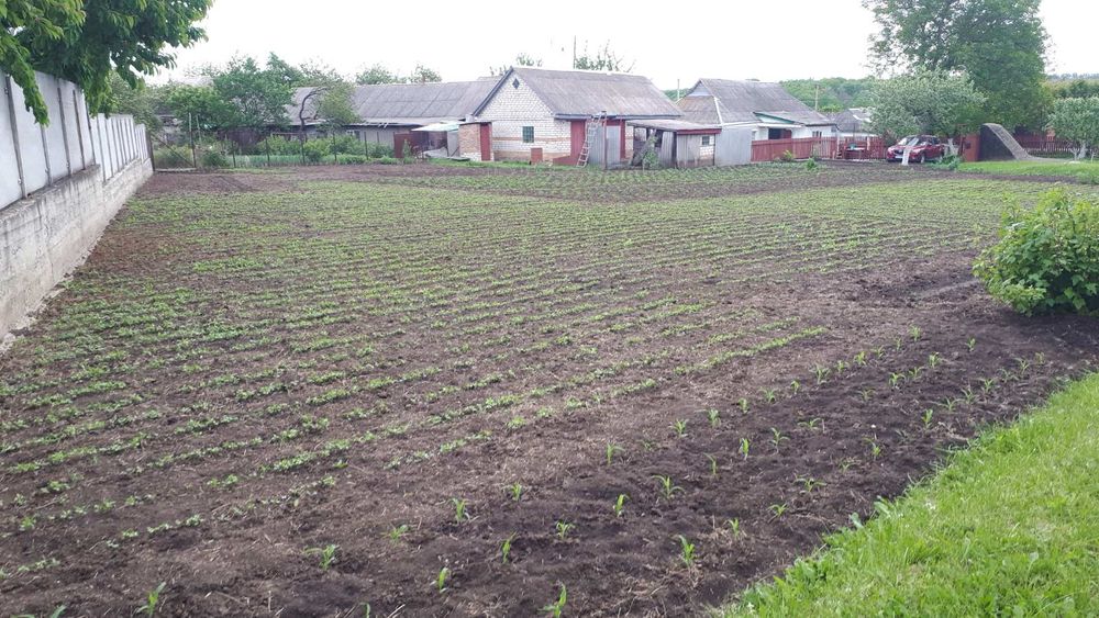 Будинок в місті на ділянці 20 соток