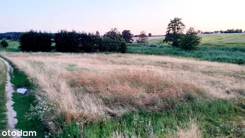 Działka na wsi z wydanymi WZ - Widok 4
