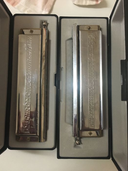 Gaita musical profissional