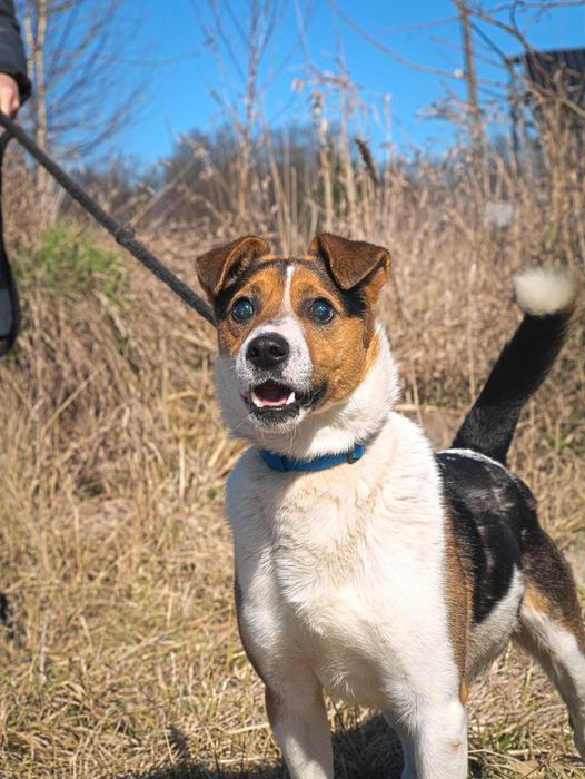 Rio nie widzi świata – ale szuka w nim swojego człowieka