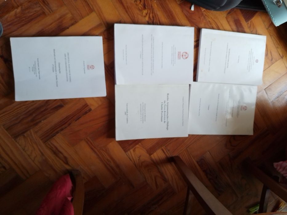 Saldos  Saramago/Ensino/educação /Inovação/Ficçao e outros Desde 3E.