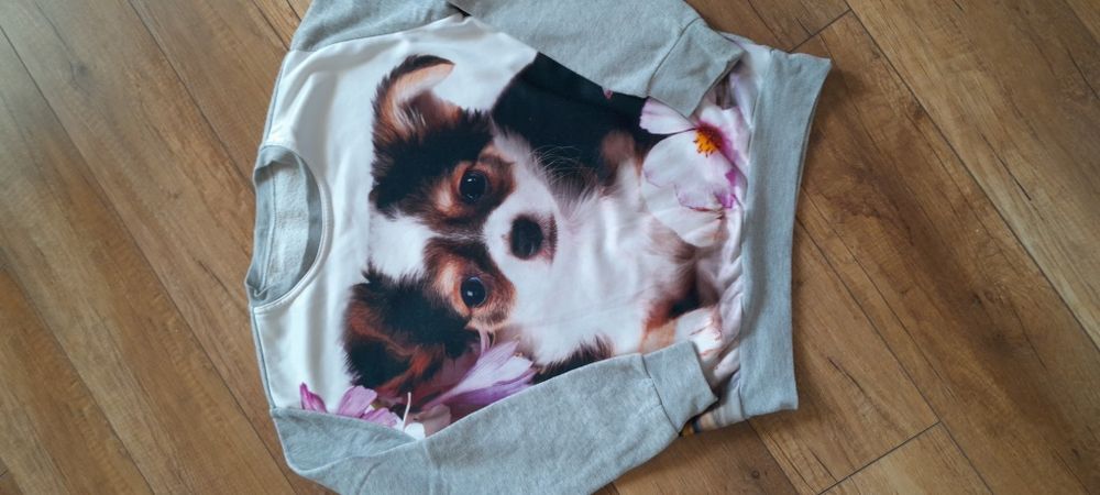 Bluza z zdjęciem psa rozm.s