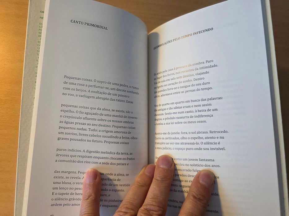 Livro "Crepúsculo" de Nuno de Figueiredo