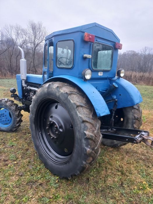 Трактор зоомліон 244