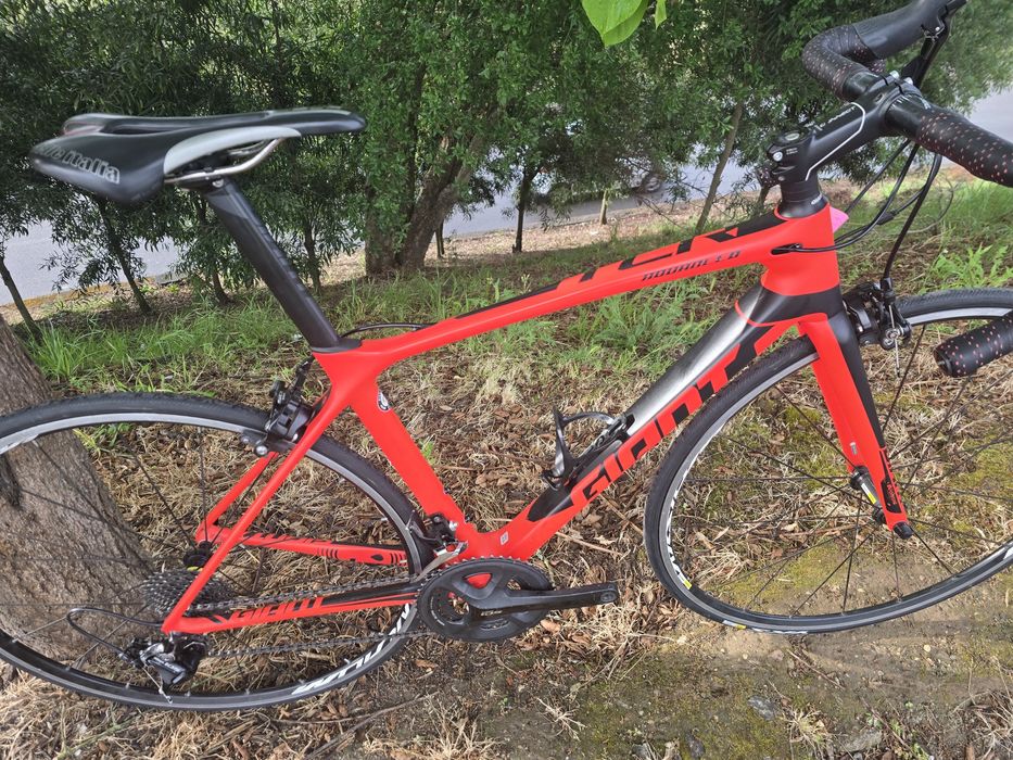 Giant tcr de carbono s 11x2v