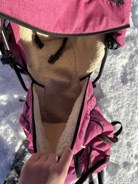 Санки дитячі з теплим конвертом