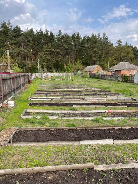 Земельна ділянка