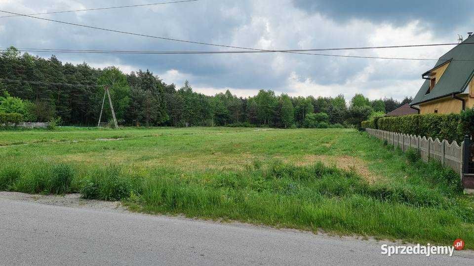 Atrakcyjne dzialki budowlane z widokiem na las