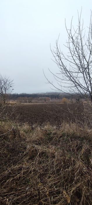 Земельна ділянка 50 соток